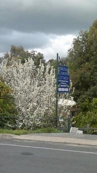 Bed & Breakfast Barossa Country Lyndoch