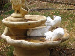 Bed & Breakfast Barossa Country